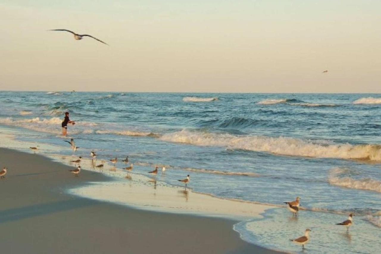 Ocean Reef 110 Lägenhet Gulf Shores Exteriör bild